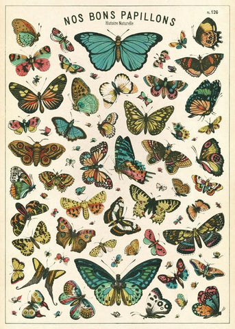 Butterfly Chart Wrap: Nos Bon Papillons