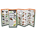 Caterpillars of Eastern North America (Folding Guides)