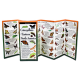 Caterpillars of Eastern North America (Folding Guides)