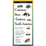 Common Bees of Eastern North America (Folding Guides)
