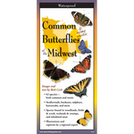 Common Butterflies of the Midwest (Folding Guides)