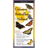 Common Butterflies of the Midwest (Folding Guides)