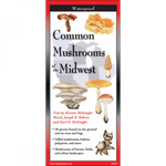 Common Mushrooms of the Midwest (Folding Guide)