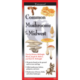 Common Mushrooms of the Midwest (Folding Guide)
