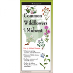 Common Wildflowers of the Midwest (Folding Guide)