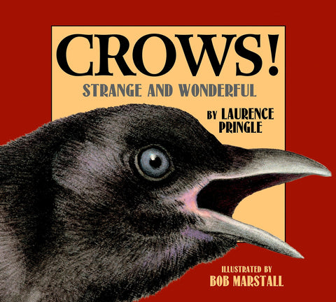 Crows!: Strange and Wonderful by Laurence Pringle, Bob Marstall