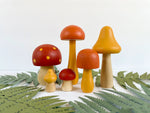 DIY Painted Mushroom Kit- Earthy