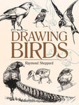 Drawing Birds by Raymond Sheppard