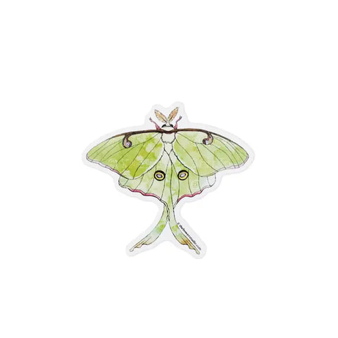 Luna Moth Eco-Sticker