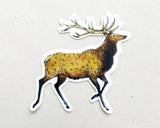Elk Animal Vinyl Sticker