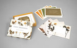 Emily Dickinson Notecards and Envelopes