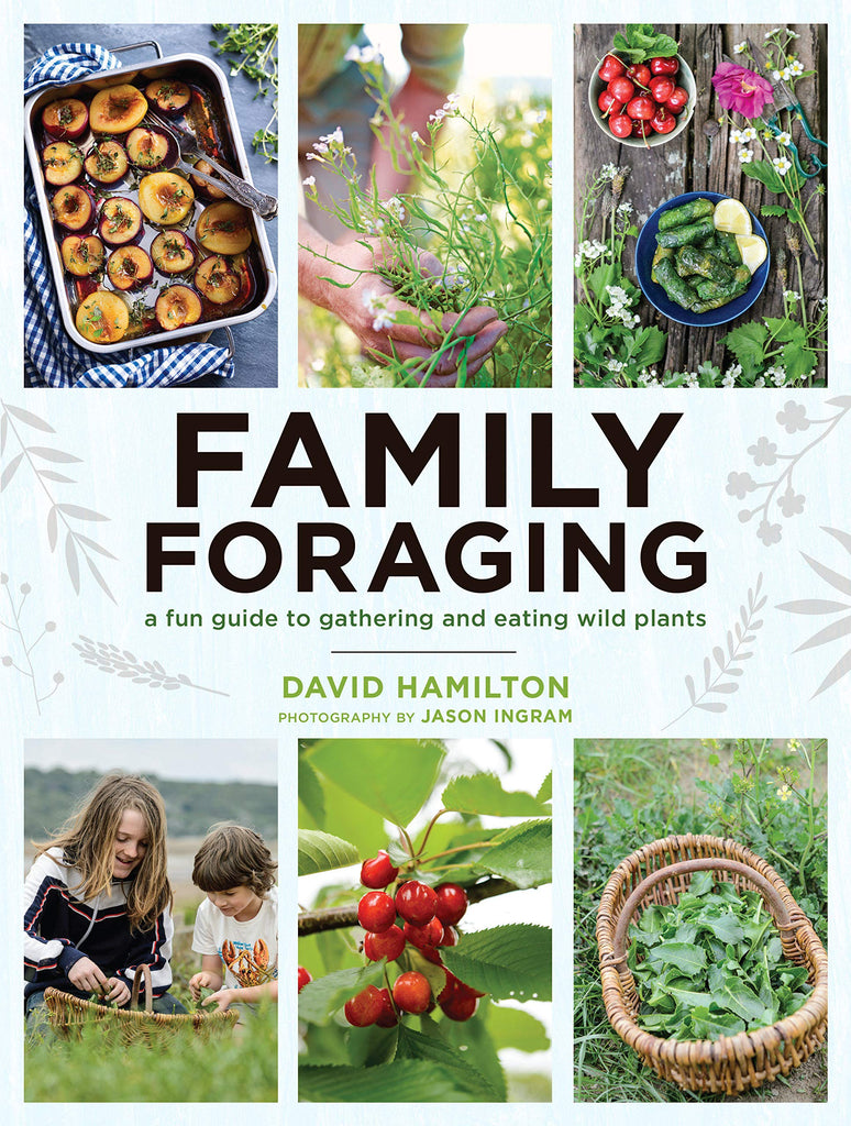 Foraging Fun Family Foraging: A Fun Guide to Gathering and Eating Wild Plants ...