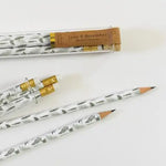 Fern Pencil Terrarium, Set Of 5 Pencils