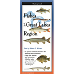 Fishes of the Great Lakes Region (Folding Guides)
