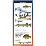 Fishes of the Great Lakes Region (Folding Guides)