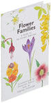 Flower Families: A Go Fish Game