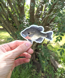 Freshwater Fish Waterproof Stickers (Twig & Moth)