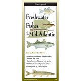 Freshwater Fishes of Mid-Atlantic (Folding Guide)