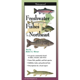 Freshwater Fishes of Northeast (Folding Guides)