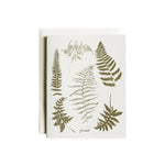 Fronds Cards / Boxed Set of 8