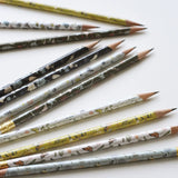 Garden Mix Pencil Terrarium, Set of 5 Pencils