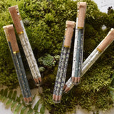 Garden Mix Pencil Terrarium, Set of 5 Pencils