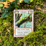 Ecologies: Hidden Habitats - Gameplay Inspired by Nature - Sequel and Expansion to the Original Card Game