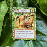 Ecologies: Hidden Habitats - Gameplay Inspired by Nature - Sequel and Expansion to the Original Card Game