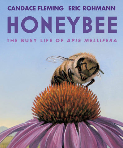 Honeybee: The Busy Life of APIs Mellifera by Candace Fleming, Eric Rohmann