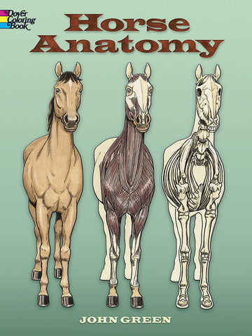 Horse Anatomy Dover Coloring Book