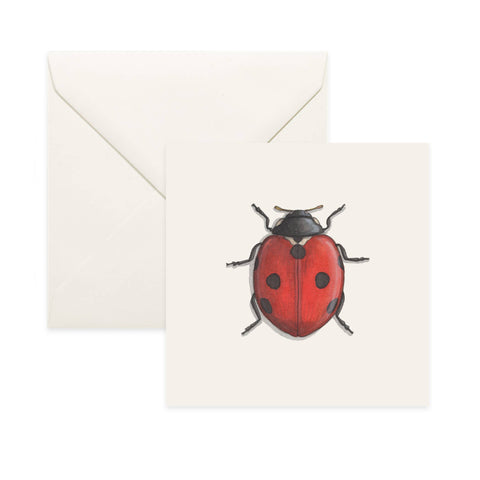 Lucky Charms: Ladybug Card