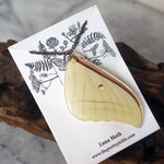 Luna Moth Forewing Necklace