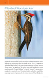 Midwestern Birds Backyard Guide by Bill Thompson III