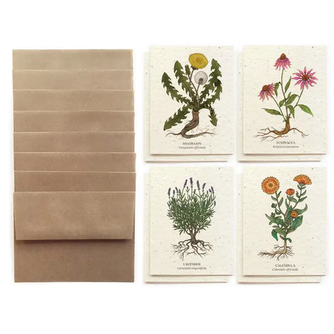 paper with wildflower seeds Medicinal Plants Card Set