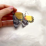 Mega Size Asteria Butterfly Wings Earrings