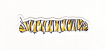 Monarch Caterpillar Waterproof Sticker (Twig & Moth)