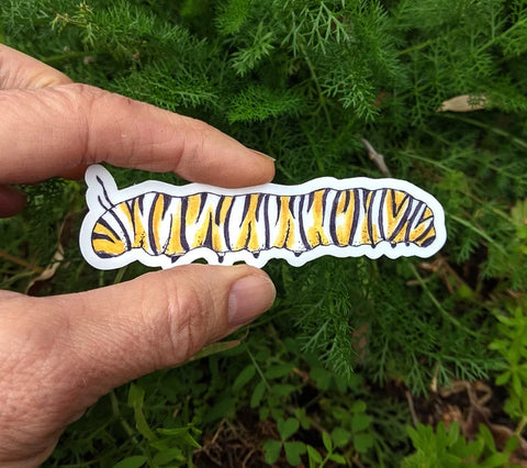 Monarch Caterpillar Waterproof Sticker (Twig & Moth)