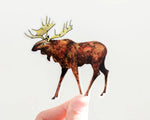 Moose Animal Vinyl Sticker
