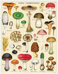 Mushrooms 1,000 Piece Puzzle