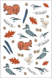 Nature Anatomy Sticker Book: A Julia Rothman Creation (More Than 750 Stickers)