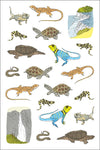 Nature Anatomy Sticker Book: A Julia Rothman Creation (More Than 750 Stickers)