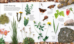 Nature Handbook: Explore the Wonders of the Natural World