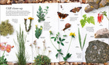 Nature Handbook: Explore the Wonders of the Natural World