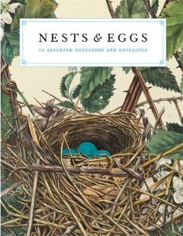 Nests and Eggs Notecards