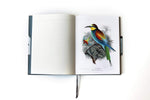 Observer's Notebook: Birds (the Perfect Journal for Bird Watchers)