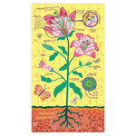 Plant Anatomy Science Puzzle Set