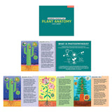 Plant Anatomy Science Puzzle Set