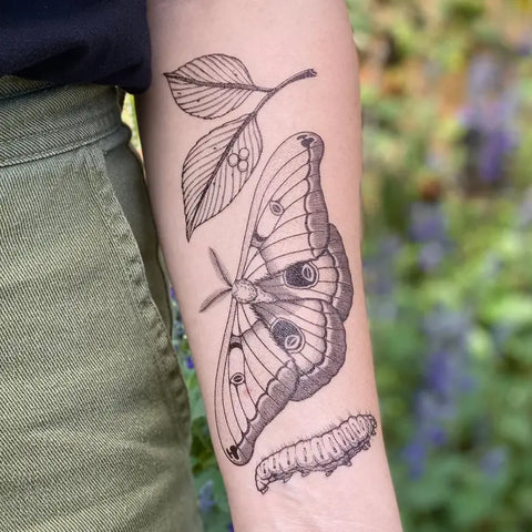 Polyphemus Moth Temporary Tattoo