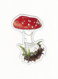Red Amanita Muscaria Mushroom Magnet (Twig & Moth)