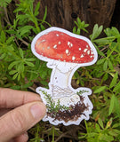 Red Amanita Muscaria Mushroom Magnet (Twig & Moth)